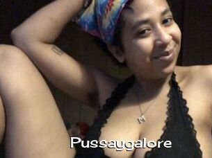 Pussaygalore