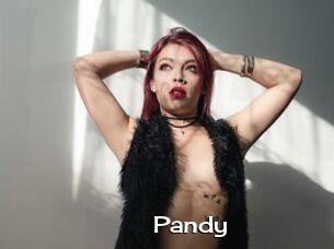 Pandy