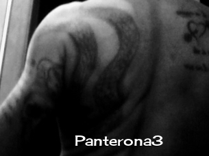 Panterona3