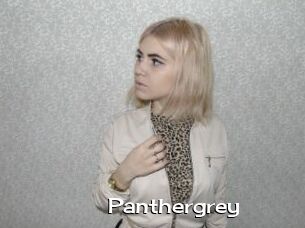 Panthergrey