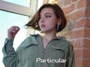 Particular