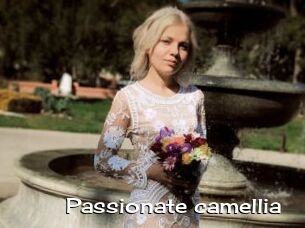 Passionate_camellia