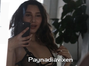 Paynadiavixen