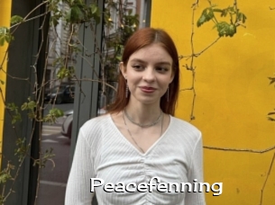 Peacefenning