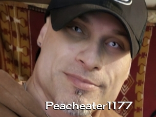 Peacheater1177