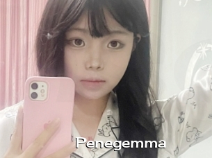 Penegemma