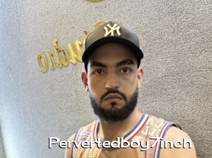 Pervertedboy7inch