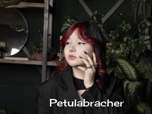 Petulabracher