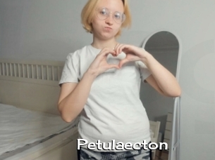 Petulaecton
