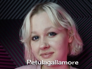 Petulagallamore