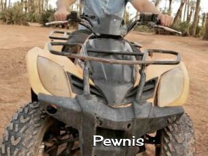 Pewnis