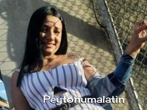 Peytonumalatin