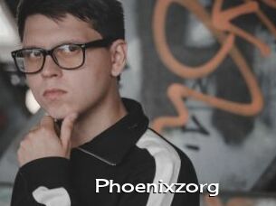 Phoenixzorg