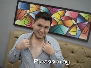 Picassoray