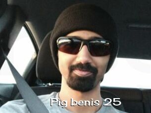 Pig_benis_25
