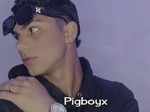 Pigboyx