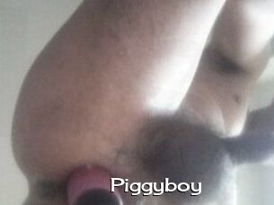 Piggyboy