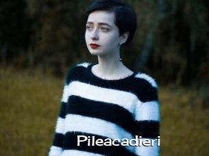 Pileacadieri