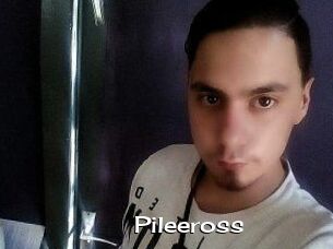 Pileeross