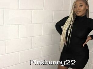 Pinkbunny22