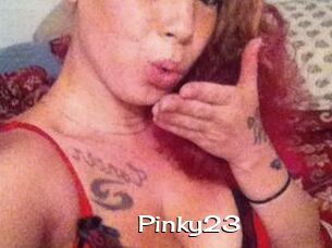 Pinky23