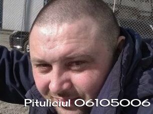 Pituliciul-06105006