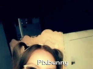 Pixbunny