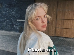 Plantarosa