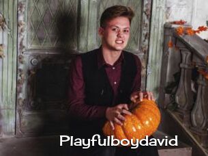 Playfulboydavid