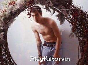 Playfultorvin