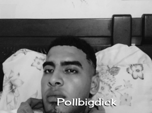 Pollbigdick