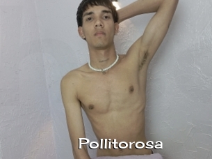 Pollitorosa