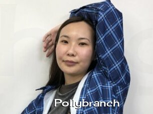 Pollybranch
