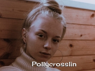 Pollycrosslin