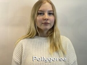 Pollygorse