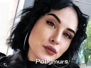 Pollymurs