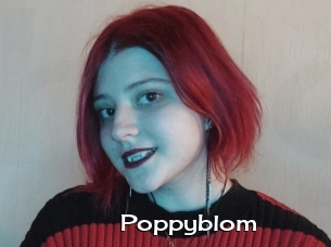 Poppyblom
