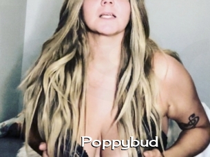 Poppybud