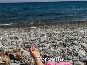 Porcona