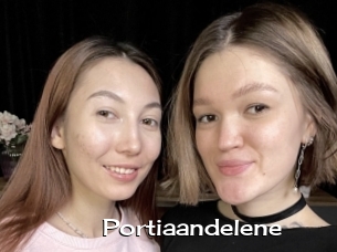 Portiaandelene