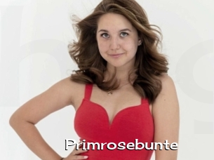 Primrosebunte