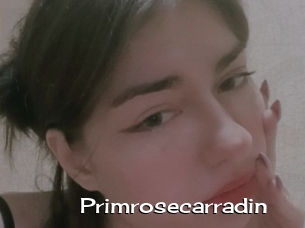 Primrosecarradin
