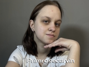 Primrosecarvin