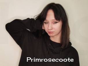 Primrosecoote