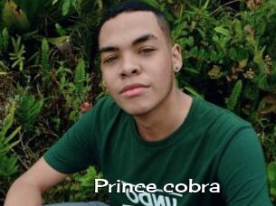 Prince_cobra