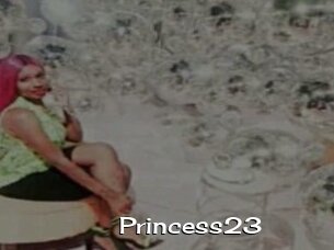 Princess23