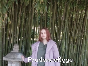 Prudencefigge