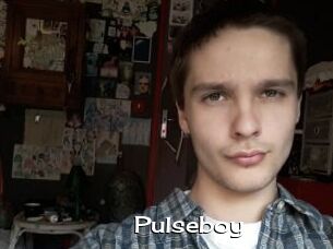 Pulseboy