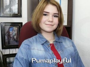 Pumaplayful