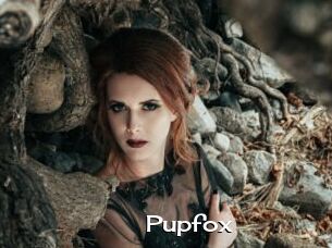 Pupfox